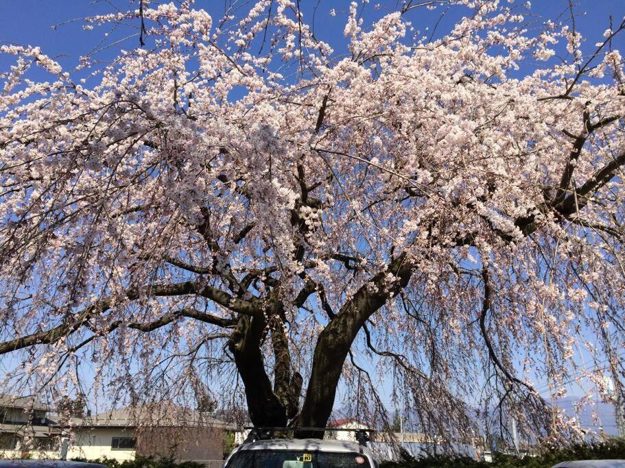 乗鞍高原の宿テンガロンハットb&Btengallonhat Matsumoto Exteriör bild